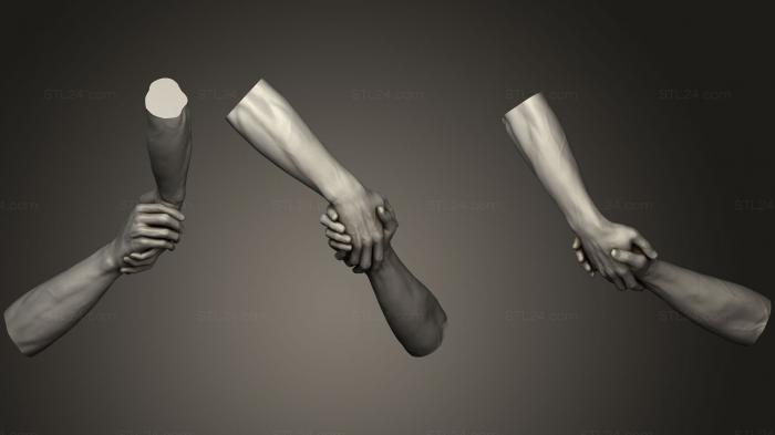 Анатомия скелеты и черепа (Мужские руки 17126, ANTM_0846) 3D модель для ЧПУ станка